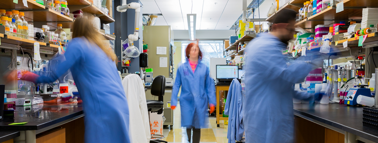 Undergrad-research-cover