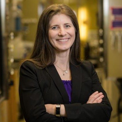 ae23bc1b-c1a6-4495-8190-5827fb4d170e