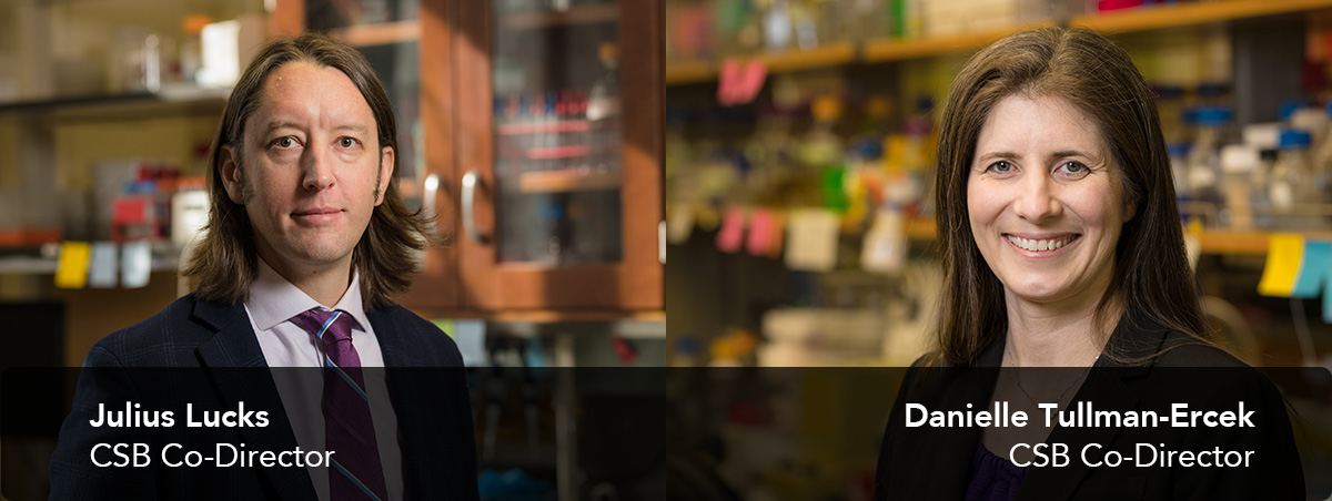 about-us-cover-withwords